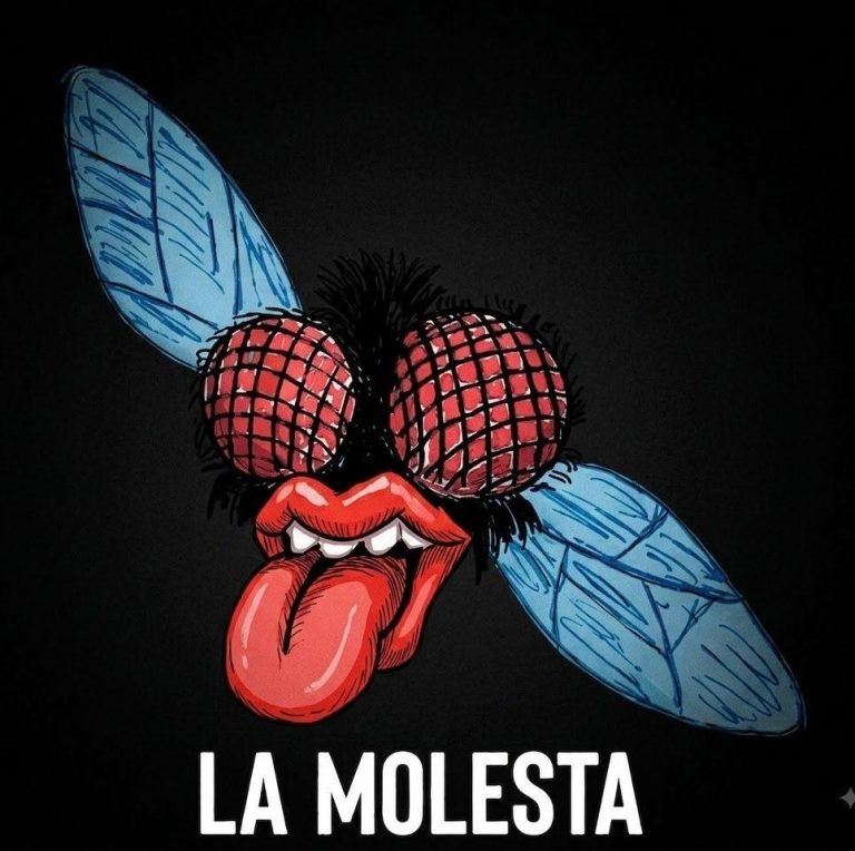 LA MOLESTA ROCANROLL