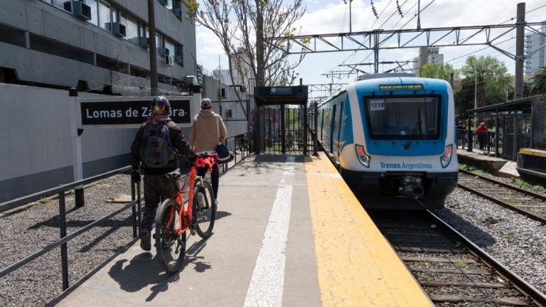 Demoras en tres ramales del Tren Roca por un accidente en Lanús